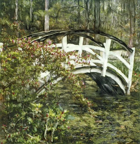 USA, South Carolina, Charleston, Magnolia Plantation and Gardens. White foot bridge