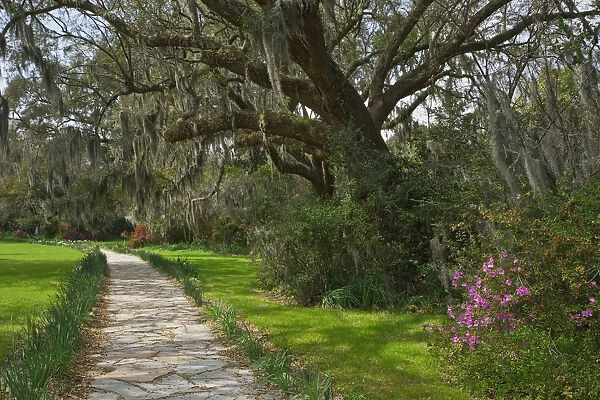 USA, South Carolina, Charleston. Stone pathway in Magnolia Plantation. Credit as