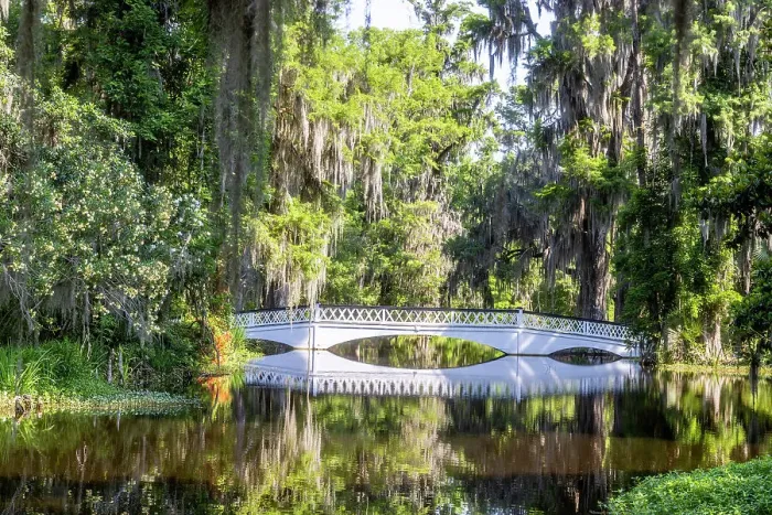 Framed Print : USA, South Carolina, Charleston. Magnolia Plantation Framed Print : USA, South Carolina, Charleston. Magnolia Plantation