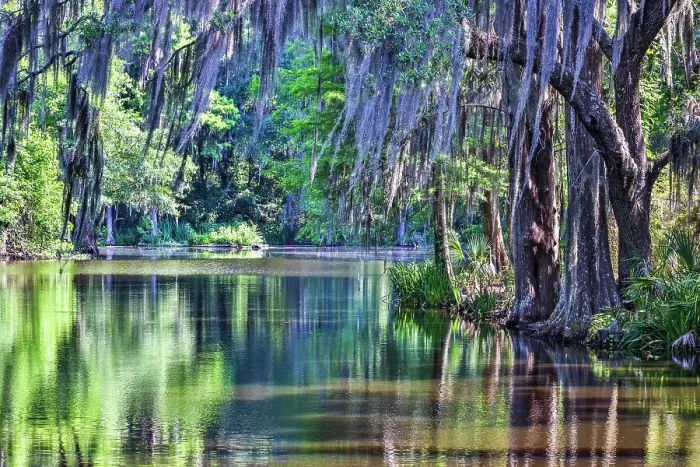 Framed Print : USA, South Carolina, Charleston. Magnolia Plantation Framed Print : USA, South Carolina, Charleston. Magnolia Plantation