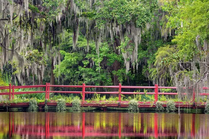 Framed Print : USA, South Carolina, Charleston, Magnolia Plantation. Bridge reflected in water and mossy forest. ©Don Paulson / Jaynes Gallery / DanitaDelimont.com Framed Print : USA, South Carolina, Charleston, Magnolia Plantation. Bridge reflected in water and mossy forest. ©Don Paulson / Jaynes Gallery / DanitaDelimont.com