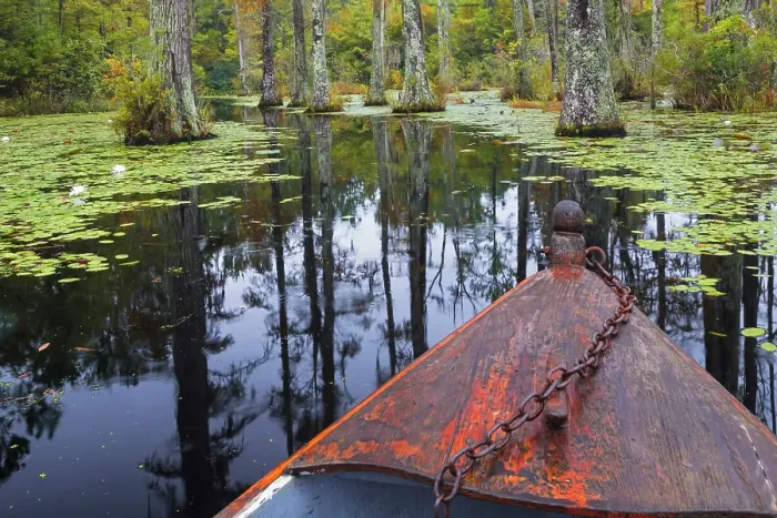 Framed Print : USA, South Carolina, Charleston. Boat in Cypress Gardens. ©Don Paulson  /  Jaynes Gallery  /  DanitaDelimont.com