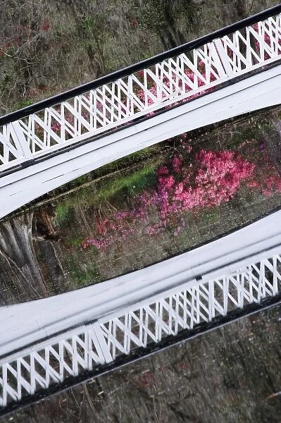 USA, South Carolina, Charleston. Tilted view of bridge on the Magnolia Plantation
