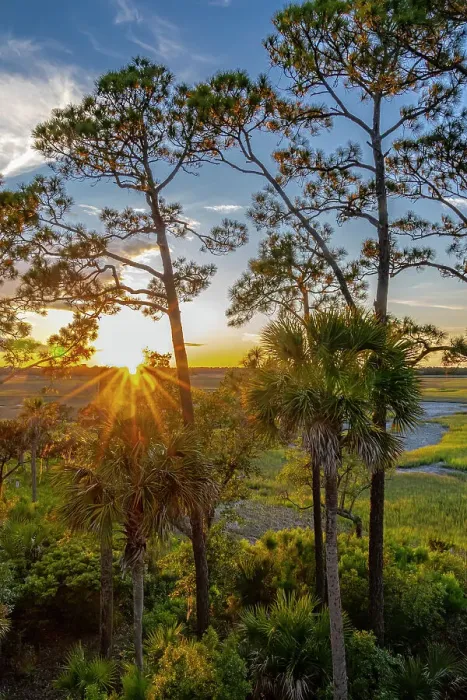Framed Print : USA, South Carolina. Kiawah Island, early morning, South Carolina Framed Print : USA, South Carolina. Kiawah Island, early morning, South Carolina