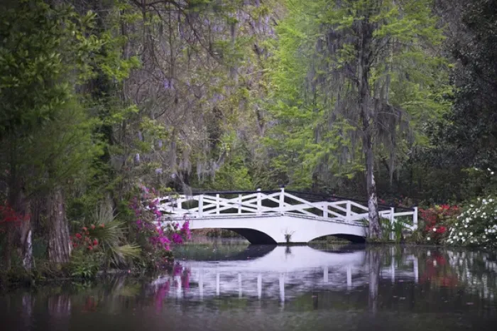 Framed Print : USA, South Carolina, Magnolia Gardens. Wooden footbridge reflects in pond. Credit as Framed Print : USA, South Carolina, Magnolia Gardens. Wooden footbridge reflects in pond. Credit as