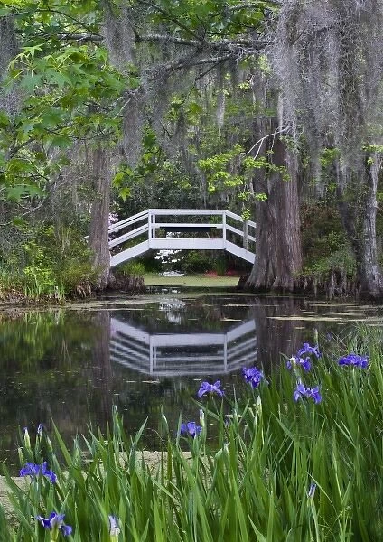 USA, South Carolina, Magnolia Gardens. Wooden footbridge reflects in pond