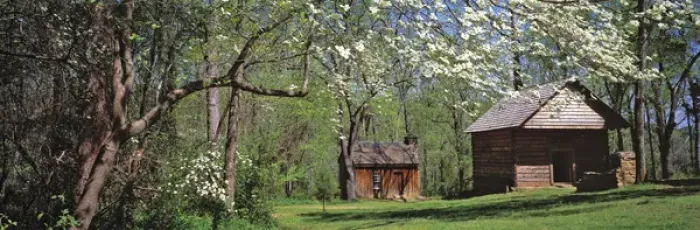 Framed Print : USA, South Carolina, Travelers Rest. Dogwood blossoms are an indication of spring Framed Print : USA, South Carolina, Travelers Rest. Dogwood blossoms are an indication of spring