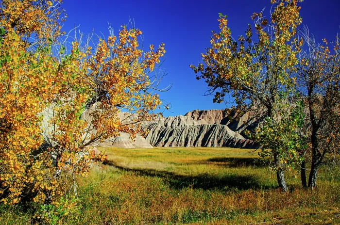 Framed Print : USA, South Dakota, Wall, Badlands National Park, Buttes framed by Fall Colorful Trees