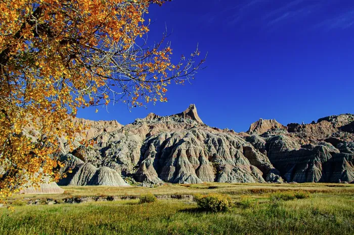 Framed Print : USA, South Dakota, Wall, Badlands National Park, Buttes framed by Fall Colorful Trees