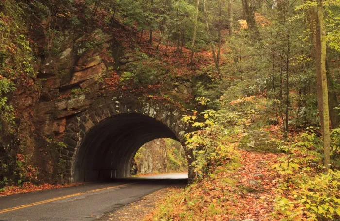 Framed Print : USA, Tennesse. Tunnel along the road to Cades Cove in the fall