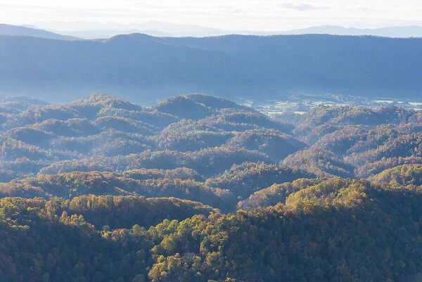 USA, Tennessee. Aerial of fall color foothills, Blue Ridge Mountains