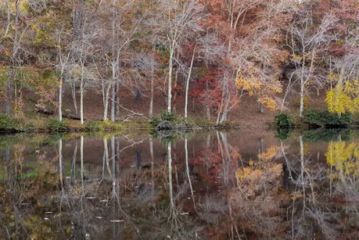 Framed Print : USA, Tennessee, Cumberland Mountain State Park. Byrd Lake, , Tennessee Credit as