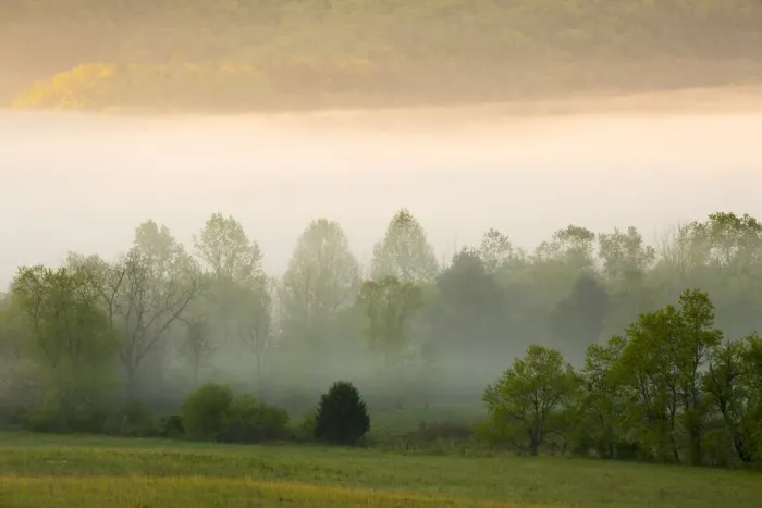 Framed Print : USA, Tennessee. Early morning fog in Cades Cove Framed Print : USA, Tennessee. Early morning fog in Cades Cove