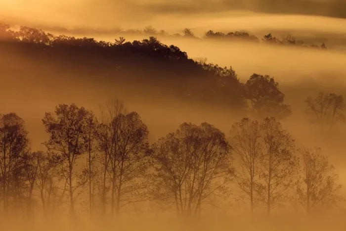 Framed Print : USA, Tennessee. Early morning fog in the Smoky Mountains Framed Print : USA, Tennessee. Early morning fog in the Smoky Mountains