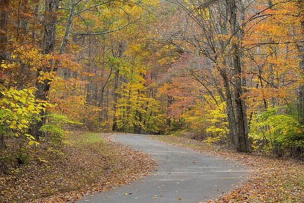 USA, Tennessee, Falls Creek Falls State Park. Road through forest in autumn. Credit as