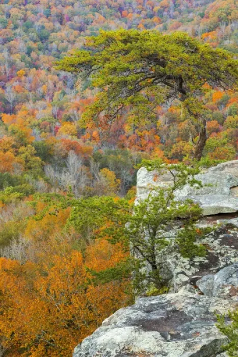 Framed Print : USA, Tennessee, Falls Creek Falls State Park. Overlook from Buzzards Roost. Credit as Framed Print : USA, Tennessee, Falls Creek Falls State Park. Overlook from Buzzards Roost. Credit as