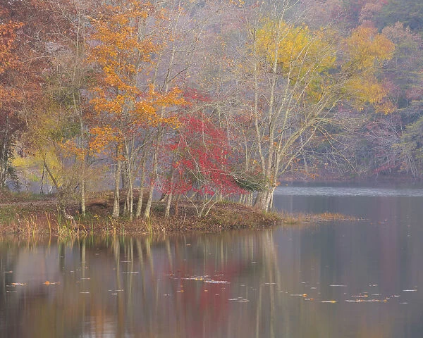 USA, Tennessee, Falls Creek Falls State Park. Autumn forest reflects in lake. Credit as