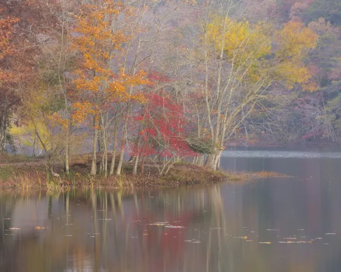 Framed Print : USA, Tennessee, Falls Creek Falls State Park. Autumn forest reflects in lake. Credit as
