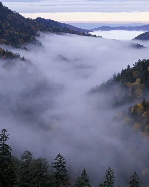 USA, Tennessee. Great Smokey Mountains National Park. Foggy Valley viewed from Morton