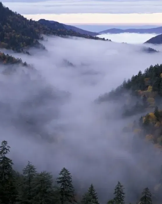 Framed Print : USA, Tennessee. Great Smokey Mountains National Park. Foggy Valley viewed from Morton