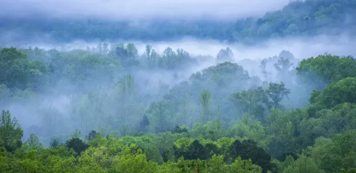 Framed Print : USA, Tennessee, Great Smoky Mountain National Park Framed Print : USA, Tennessee, Great Smoky Mountain National Park