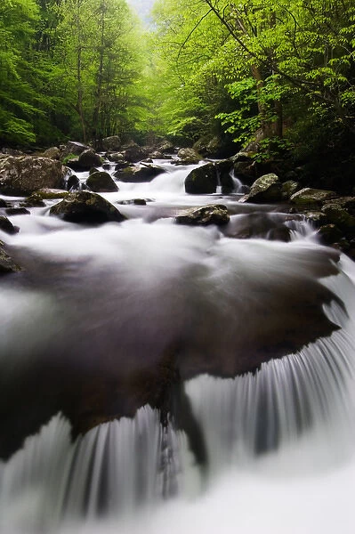 USA; Tennessee; Great smoky mountain NP; Cascade in Middle Prong Little River