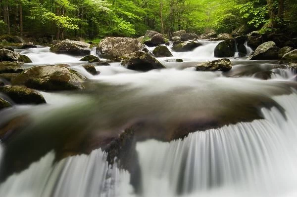 USA; Tennessee; Great Smoky Mountain NP; Cascade in Middle Prong Little River