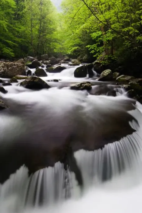 Framed Print : USA; Tennessee; Great smoky mountain NP; Cascade in Middle Prong Little River Framed Print : USA; Tennessee; Great smoky mountain NP; Cascade in Middle Prong Little River
