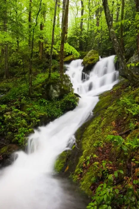Framed Print : USA; Tennessee; Great Smoky Mountain NP; Cascade at Tremont Framed Print : USA; Tennessee; Great Smoky Mountain NP; Cascade at Tremont