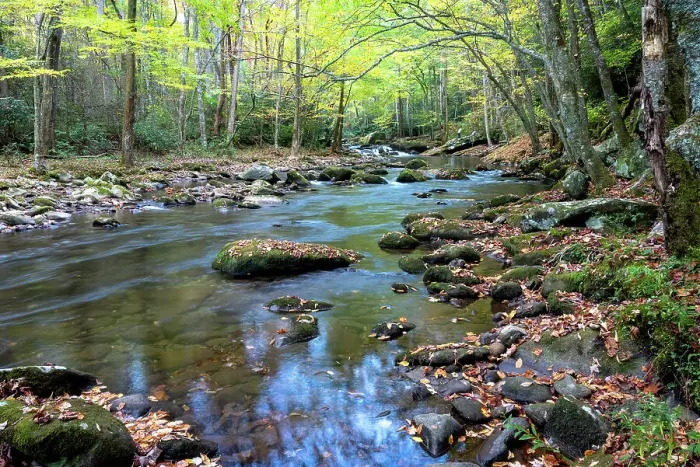 Framed Print : USA, Tennessee. The Great Smoky Mountains, Little River in Autumn Framed Print : USA, Tennessee. The Great Smoky Mountains, Little River in Autumn