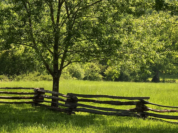 USA, Tennessee, Great Smoky Mountains National Park, Old wooden fence in Cades Cove