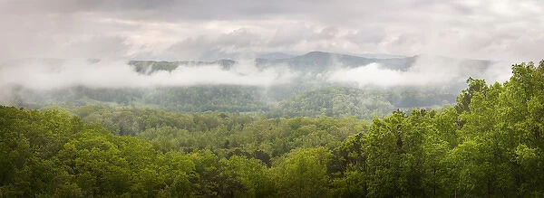 USA, Tennessee, Great Smoky Mountains National Park. Misty morning panoramic. Credit as