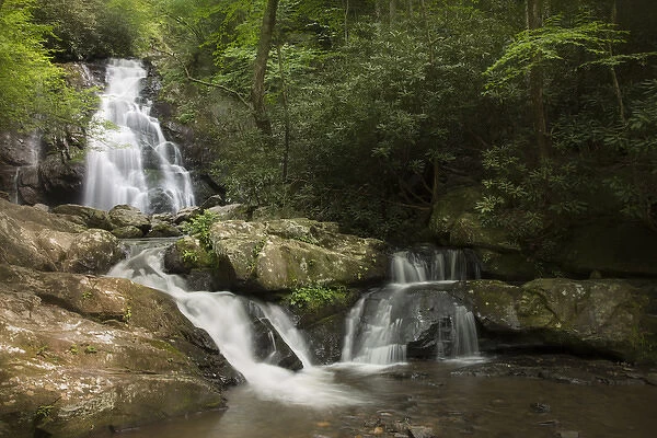 USA, Tennessee, Great Smoky Mountains National Park. Indian Flats Falls landscape