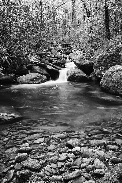 USA, Tennessee, Great Smoky Mountains National Park. Cascading creek and pool. Credit as