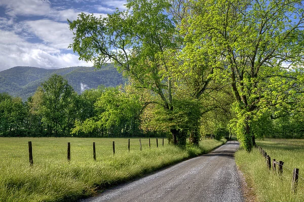 USA, Tennessee, Great Smoky Mountains National Park. Dirt road in Cades Cove. Credit as