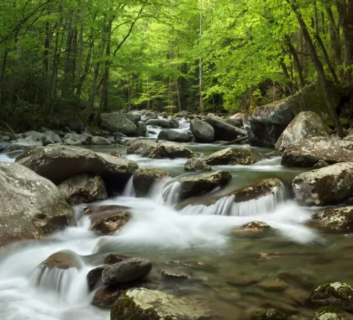 Framed Print : USA, Tennessee, Great Smoky Mountains National Park, Little Pigeon River at Greenbrier