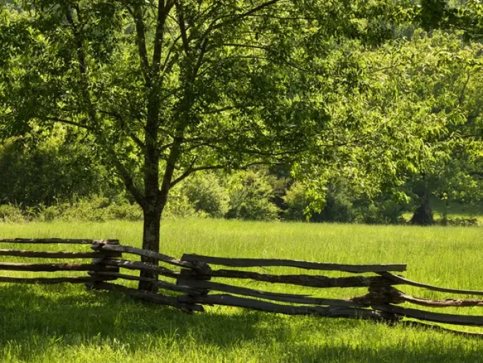 Framed Print : USA, Tennessee, Great Smoky Mountains National Park, Old wooden fence in Cades Cove Framed Print : USA, Tennessee, Great Smoky Mountains National Park, Old wooden fence in Cades Cove