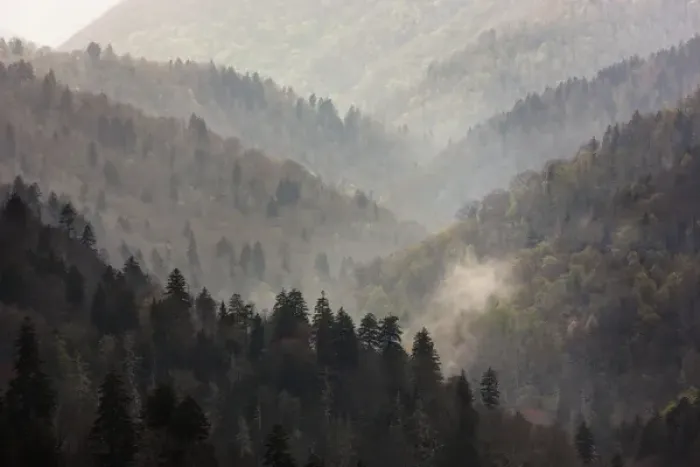 Framed Print : USA, Tennessee, Great Smoky Mountains National Park. Mist rises in a valley of tree-lined ridges