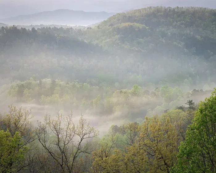 Framed Print : USA, Tennessee, Smokey Mountains National Park. Sunrise mist on mountain forest
