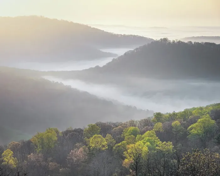 Framed Print : USA, Tennessee, Smokey Mountains National Park. Sunrise mist on mountain forest