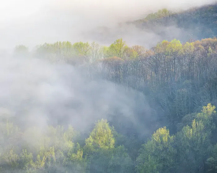 Framed Print : USA, Tennessee, Smokey Mountains National Park. Sunrise mist on mountain forest