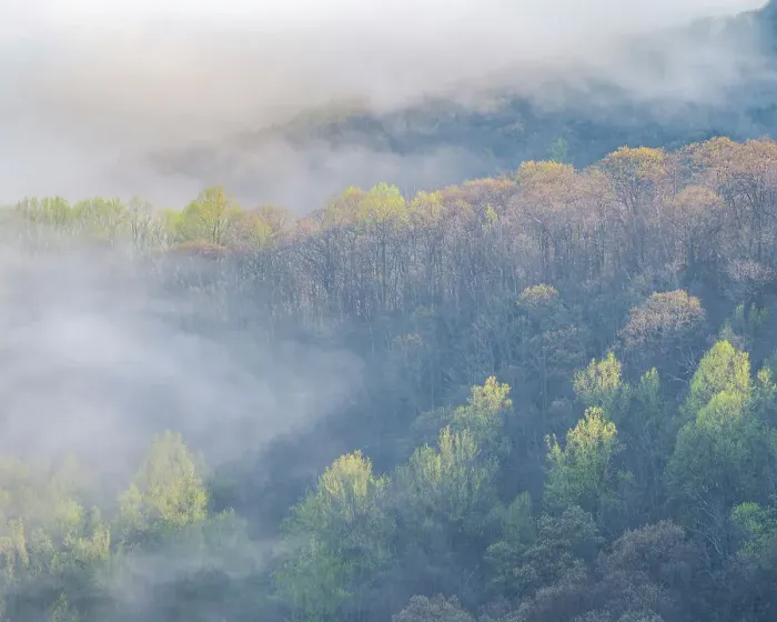 Framed Print : USA, Tennessee, Smokey Mountains National Park. Sunrise mist on mountain forest Framed Print : USA, Tennessee, Smokey Mountains National Park. Sunrise mist on mountain forest