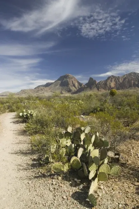Framed Print : USA-TEXAS-Big Bend Area-Big Bend National Park: Hiking Trail & Chisos Mountains