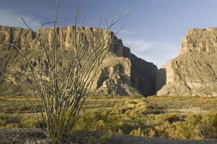 Framed Print : USA-TEXAS-Big Bend Area-Big Bend National Park: Santa Elena Canyon & Ocatillo Plant Framed Print : USA-TEXAS-Big Bend Area-Big Bend National Park: Santa Elena Canyon & Ocatillo Plant