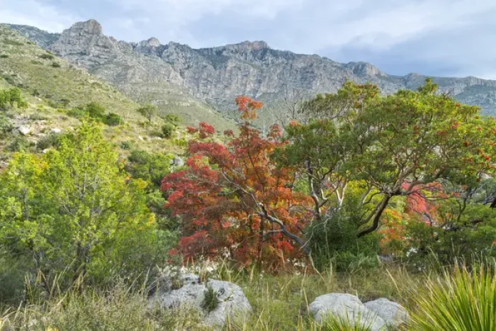 Framed Print : USA, Texas, Guadalupe Mountains National Park. Landscape of Devils Hall Trail Framed Print : USA, Texas, Guadalupe Mountains National Park. Landscape of Devils Hall Trail
