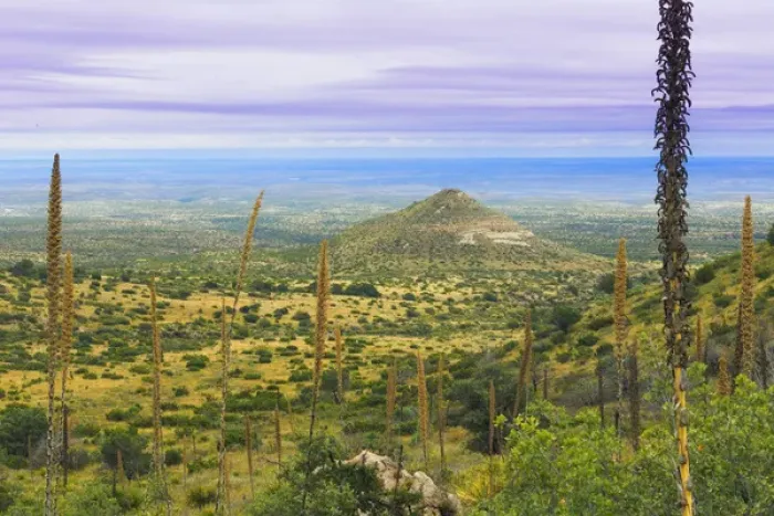 Framed Print : USA, Texas, Guadalupe Mountains National Park. Landscape with small mountain. Credit as Framed Print : USA, Texas, Guadalupe Mountains National Park. Landscape with small mountain. Credit as