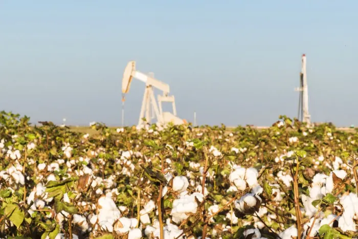 Framed Print : USA, Texas. Martin County, Pumpjack on cotton field Framed Print : USA, Texas. Martin County, Pumpjack on cotton field