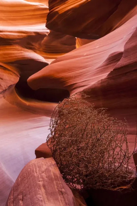 Framed Print : USA, Upper Antelope Canyon, Arizona Framed Print : USA, Upper Antelope Canyon, Arizona