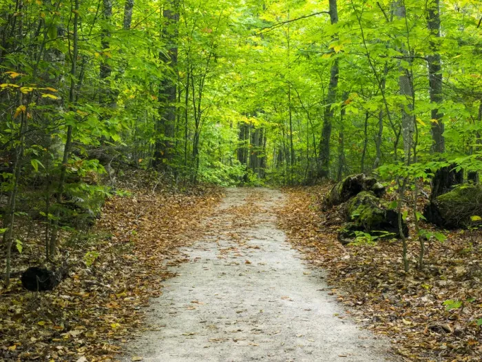 Framed Print : USA, Upper Michigan. Hiking trail in early autumn Framed Print : USA, Upper Michigan. Hiking trail in early autumn