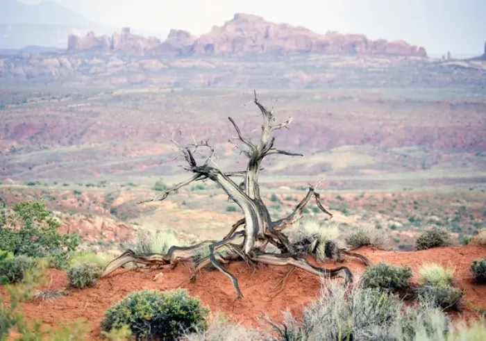 Framed Print : USA, Utah, Arches National Park